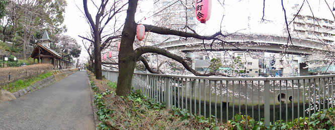 江戸川公園の遊歩道