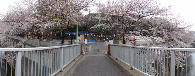大滝橋から江戸川公園