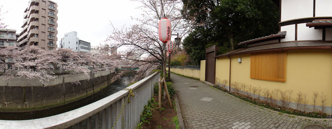 椿山荘脇の遊歩道